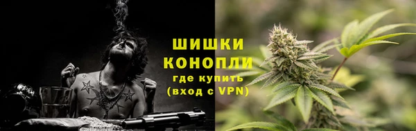 mdpv Заводоуковск