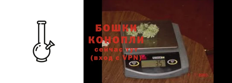 mdpv Заводоуковск