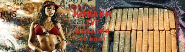 Альфа ПВП Заволжье
