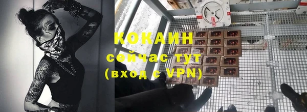 mdpv Заводоуковск