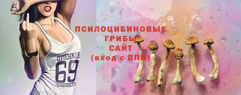 как найти закладки  Заозёрный  Галлюциногенные грибы Psilocybe 