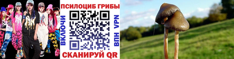 Галлюциногенные грибы ЛСД маркетплейс наркотические препараты Заозёрный цены наркотик